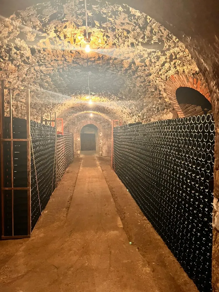 visite cave Champagne à Châtillon-sur-Marne