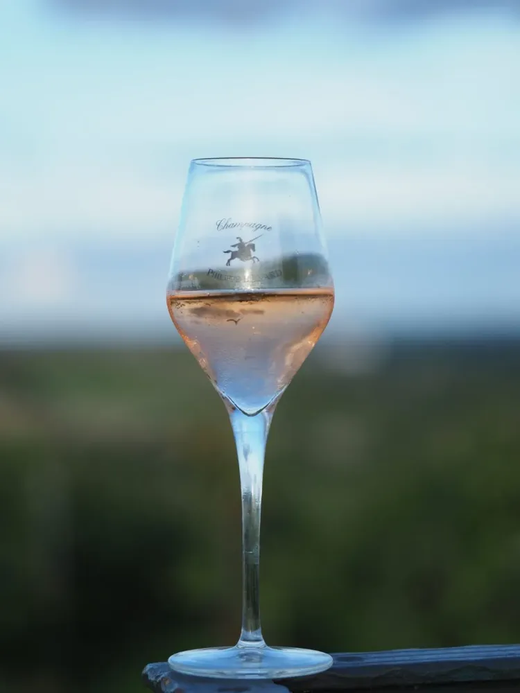 dégustation Champagne à Châtillon-sur-Marne
